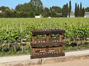 Maisons de vacances Entre les Vignes : photos des chambres