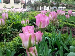 Kierunek Sopot Apartament POMORSKI