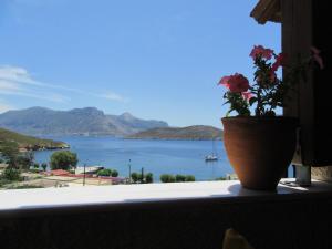 Kalotina's Apartments Kalymnos Greece