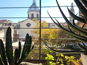 Cozy Vibes Apartment Tucumán