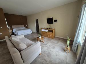 Pato Overo - Complejo Tres Picos