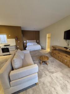 Pato Overo - Complejo Tres Picos