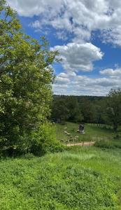 House of Joy Barajevo