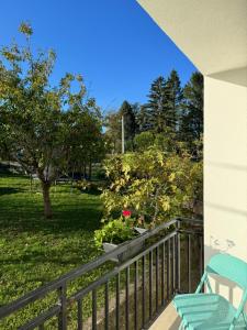 House of Joy Barajevo