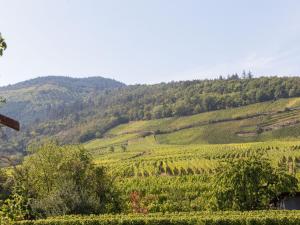 Appartements Apartment in Alsace near Haut-Koenigsbourg, cleaning included : photos des chambres