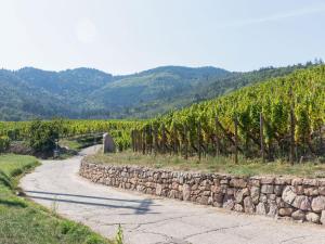 Appartements Apartment in Alsace near Haut-Koenigsbourg, cleaning included : photos des chambres