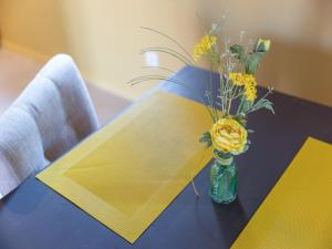 Appartements Apartment in Alsace near Haut-Koenigsbourg, cleaning included : photos des chambres