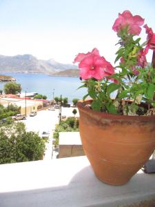 Kalotina's Apartments Kalymnos Greece