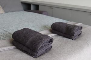 Central Paris apartment with Eiffel Tower view