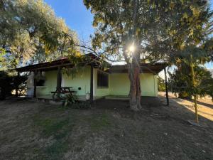 Cabañas Nono Mario