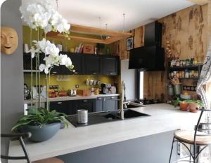 B&B / Chambres d'hotes Chambre a louer a la nuit a la campagne : photos des chambres