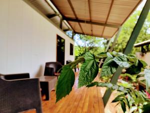 Casa Abierta Playa Juquillal 2 habitaciones