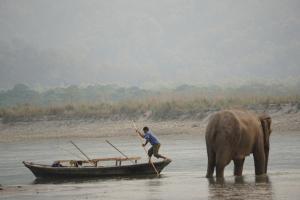 Chitwan, 44600 Chilha, Nepal.