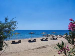 Filokalia Seaside - Ubytování bez kategorie ve městě Nikiti