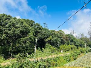 Mist haven villa Only for the Local Guests