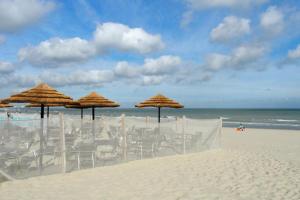 Atelier du chill - Bergues