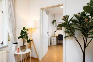 StayTime - Honey Base