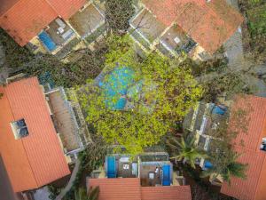 ELIVAAS Kensho Hibiscus 3-BHK Villa With Common Pool, Plunge Pool & Lift Near Popular Beaches