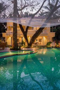 ELIVAAS Kensho Hibiscus 3-BHK Villa With Common Pool, Plunge Pool & Lift Near Popular Beaches