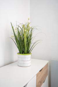 Le CITY BREAK - halte idéale en hypercentre