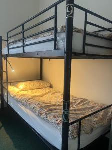 Botanic Avenue Hostel less than a mile from the City Centre