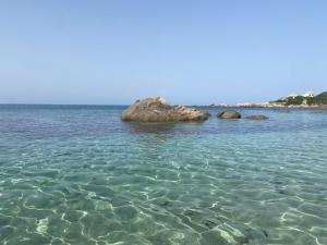 L'albero di Beatrice img20