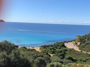 L'albero di Beatrice img18