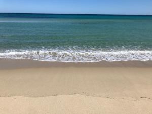 L'albero di Beatrice img15