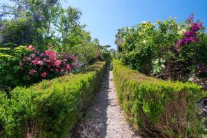 Appartamento con Vista Giardino