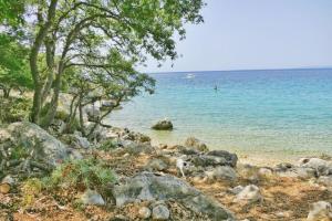 Small Nature house Teodora