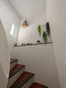 Maisons de vacances Maison familiale avec Jacuzzi : photos des chambres