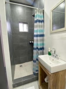 DGM Lofts GPE 8 cerca stadium Rayados MTY