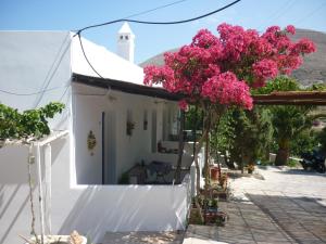 Loukia Studios & Suites Syros Greece