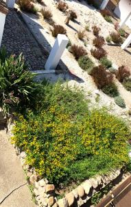 Cort'e Nastasj img55