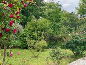 Villas Air-conditioned villa with fresh eggs & vegetables : photos des chambres