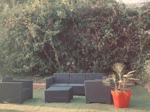 Appartements Maison avec grand jardin au coeur de la ville : photos des chambres