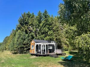 Leśne Siedlisko Wygonin