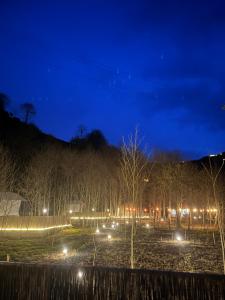 Evaland Glamping Resort