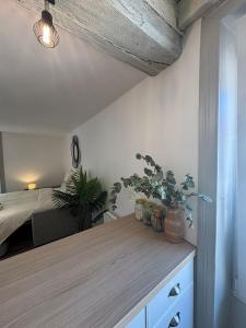 Appartements Studio Elegant Roanne : Appartement 1 Chambre