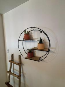 Appartements Studio Elegant Roanne : photos des chambres