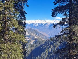 Wonder Hill Inn Narkanda Himachal Pradesh