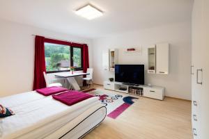 Apartament W & S Executive Apartments - Obertraun Obertraun Austria