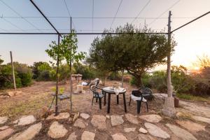 L'isola che non c'è NG Collection img61