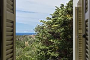 Andros Summer Suites