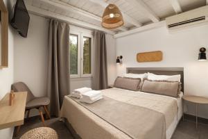 Andros Summer Suites