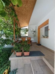 Pelso Holiday Apartments Hóvirág