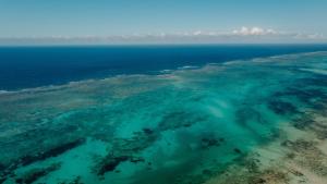 Pearl Beach by Sansi