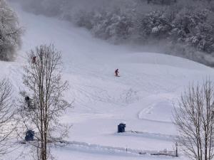 Apartment „Bergblick“