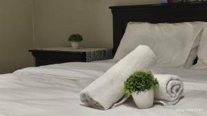 Pillows Plus Kajang