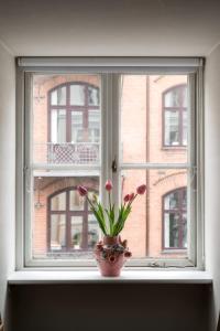 The Little Blue House 2 by Daniel&Jacobs